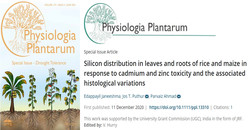 Physiologia Plantarum