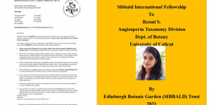 Sibbald International Fellowship